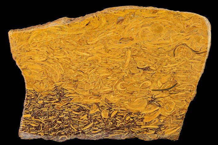 Polished Miriam Stone Slab - India #167762